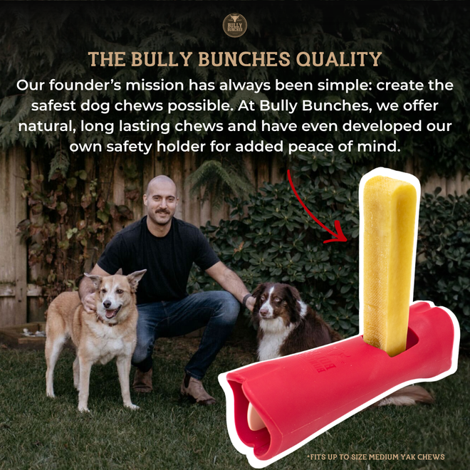 Strawberry Himalayan Yak Chew (MEDIUM)