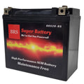 High Performance BRS20-BS 2 Year Warranty & Smart Charger / Maintainer Combo Bundle Kit  12v Sealed AGM PowerSports Battery