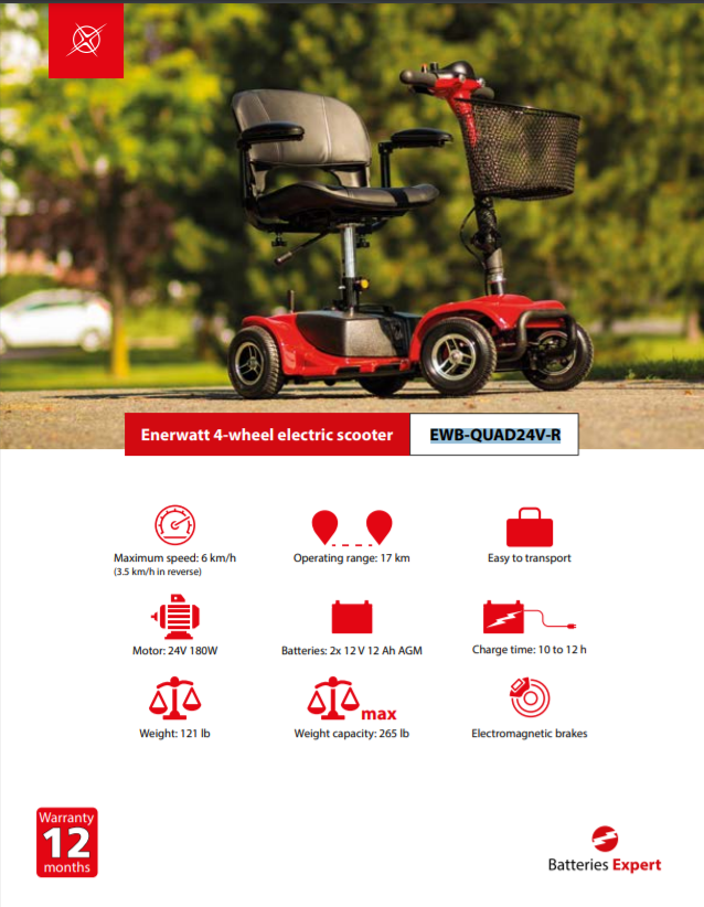 Foldable Electric 4 Wheel Mobility Scooter 24V