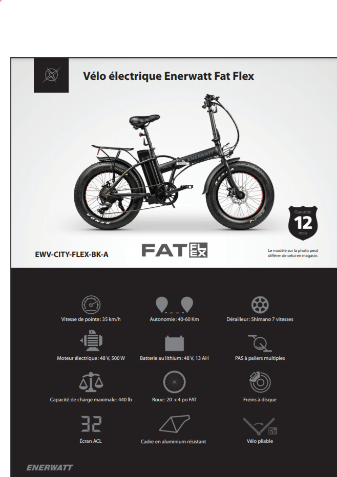 Foldable Big TIRE Electric BIKE 48V