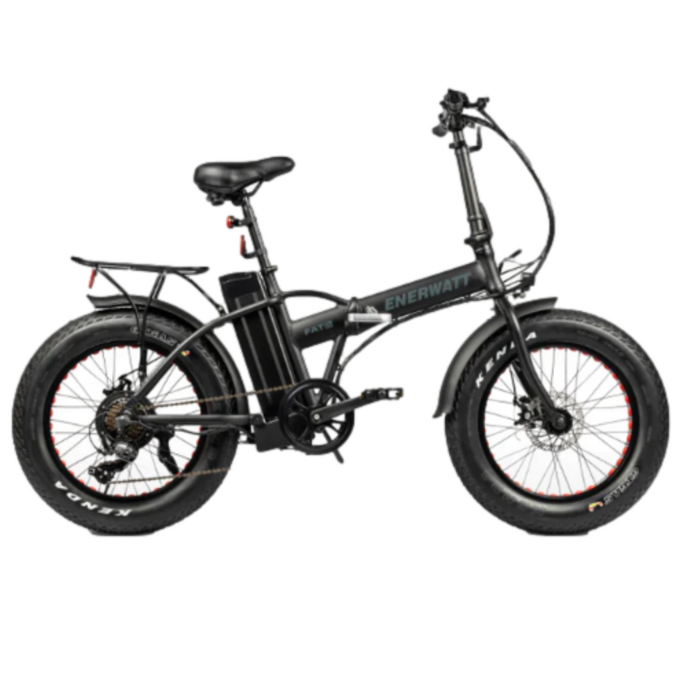 Foldable Big TIRE Electric BIKE 48V