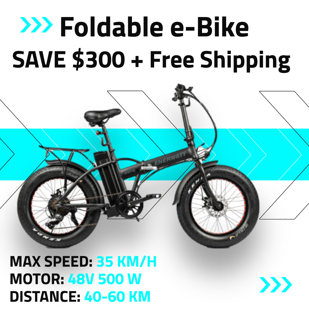 Foldable Big TIRE Electric BIKE 48V